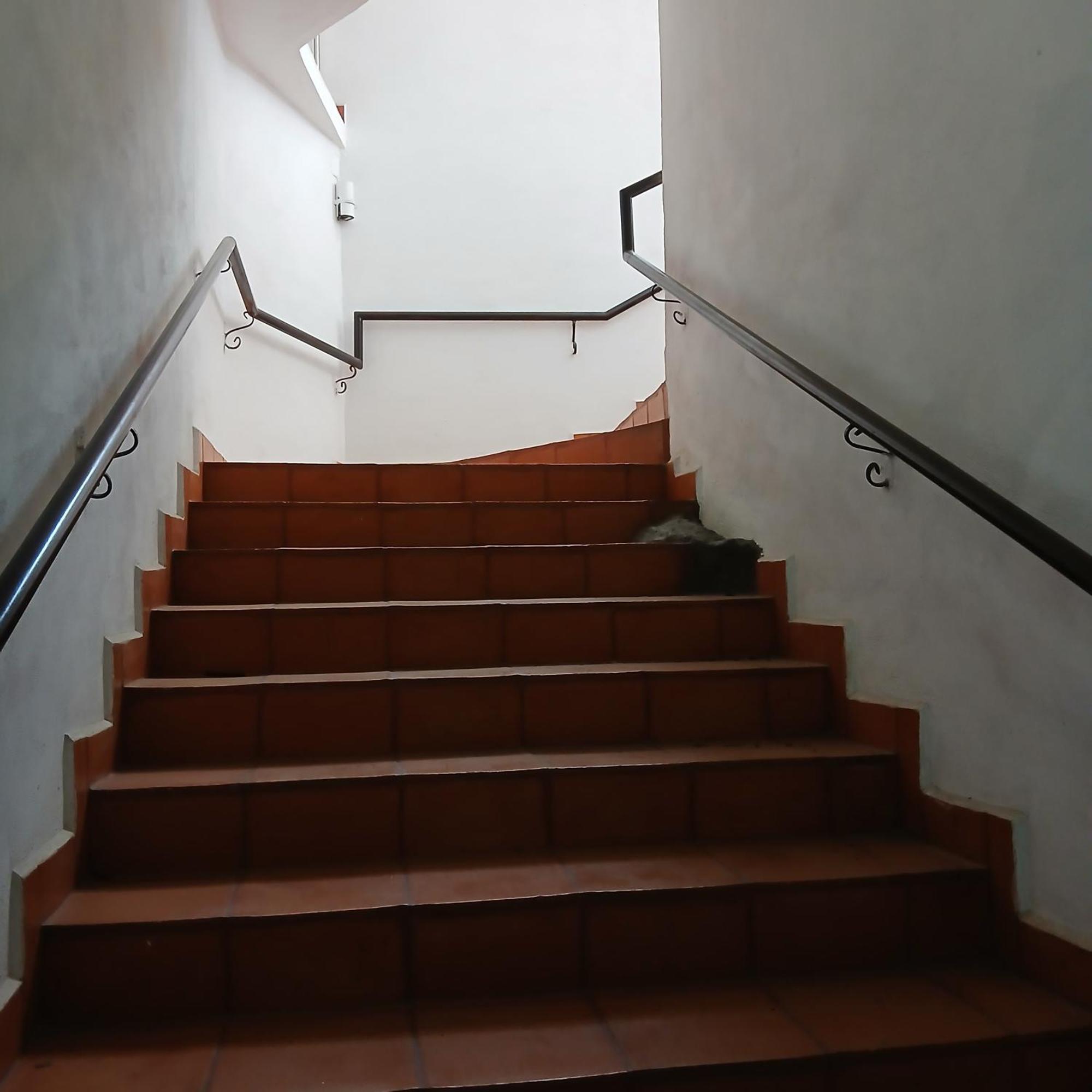 Hotel Alondra Los Laureles 外观 照片